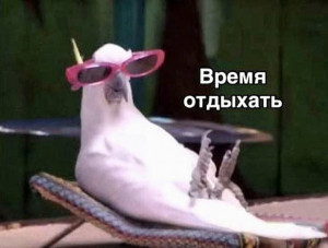 Тур по мангровым островам